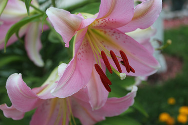 Similar image 1399294