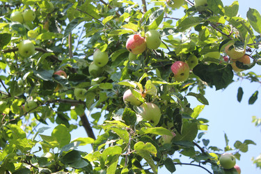 Similar image 1399297