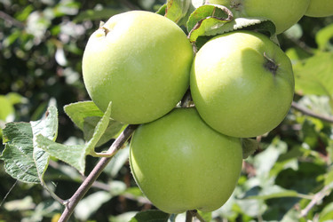 Similar image 1399298