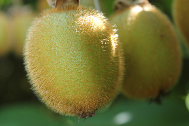 Similar image 1399299