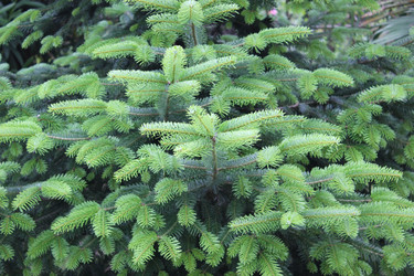 Similar image 1399300