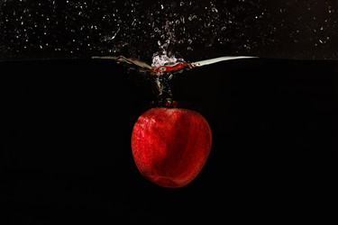 Similar image 1399307