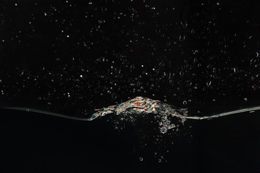 Similar image 1399312