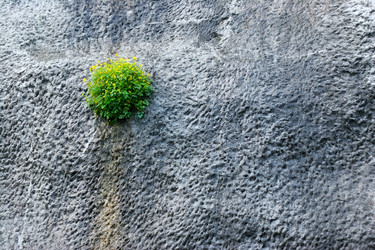 Similar image 1399355