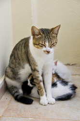 Similar image 1399411