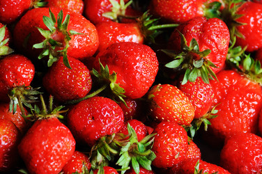 Similar image 1399436