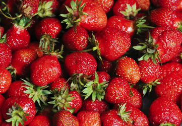 Similar image 1399440