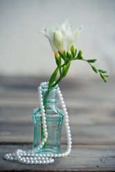 Similar image 1399544