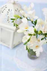 Similar image 1399548