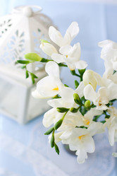 Similar image 1399549