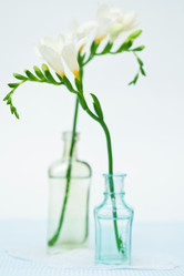 Similar image 1399562