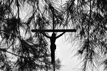 Similar image 1399688