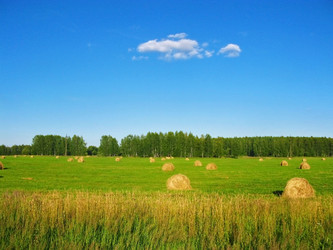 Similar image 1399760