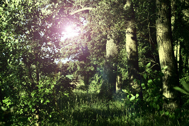 Similar image 1399762