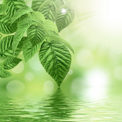 Similar image 1399765