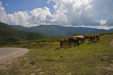 Similar image 1399777