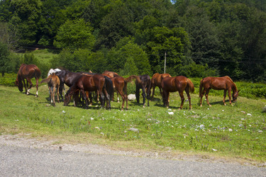 Similar image 1399778