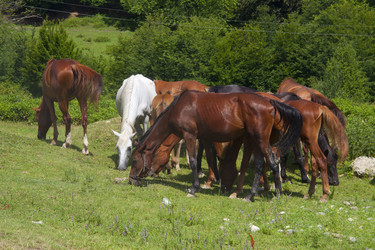 Similar image 1399779