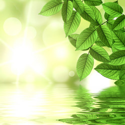 Similar image 1399781