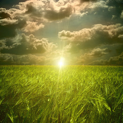 Similar image 1399782