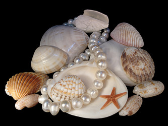 Similar image 1399838