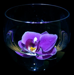 Similar image 1399839