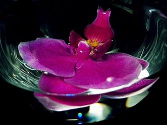 Similar image 1399840