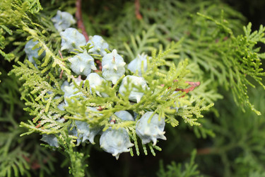 Similar image 1399901