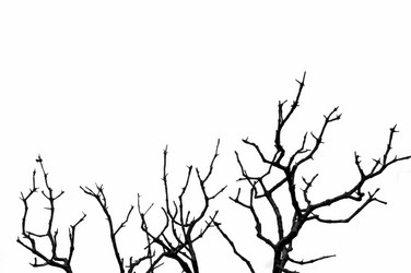 Similar image 1399932