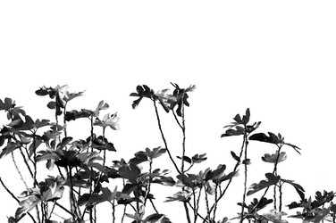 Similar image 1399955