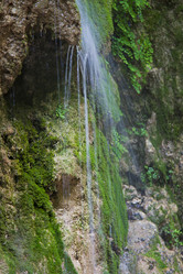 Similar image 1399968