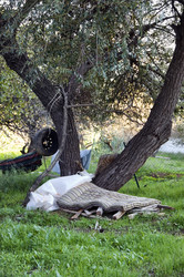 Similar image 1399996