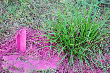 Similar image 1400036