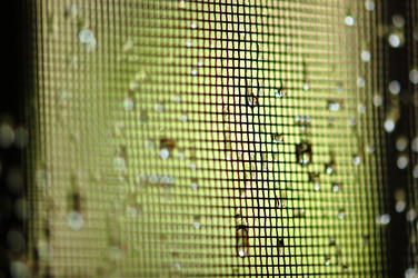 Similar image 1400037