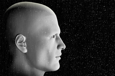 Similar image 1400038