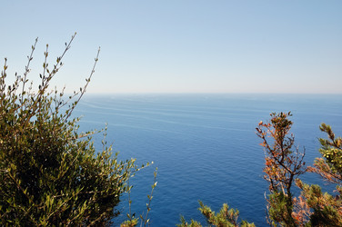 Similar image 1400043