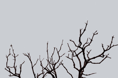 Similar image 1400069