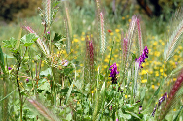 Similar image 1400074