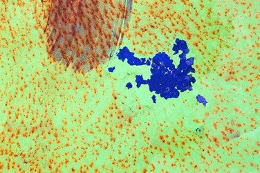 Similar image 1400134