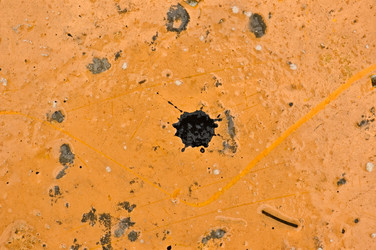 Similar image 1400167