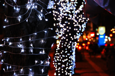 Similar image 1400183