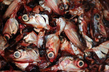 Similar image 1400187