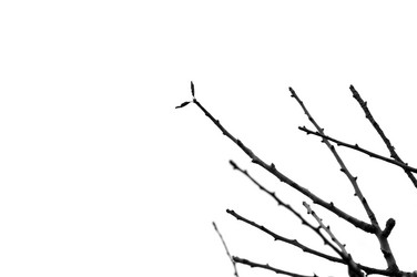 Similar image 1400196