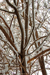 Similar image 1400214