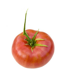 Similar image 1400250