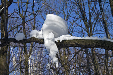 Similar image 1400327