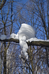 Similar image 1400328