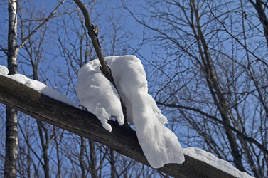 Similar image 1400329