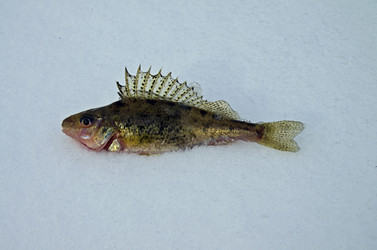 Similar image 1400330