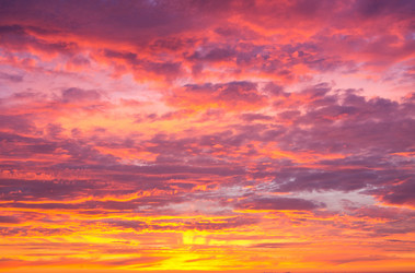 Similar image 1400419